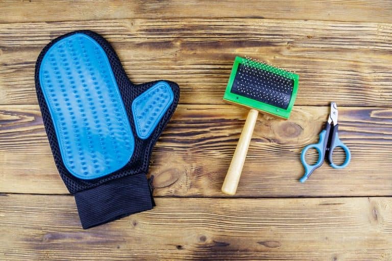 How to Brush a Cat that Hates It