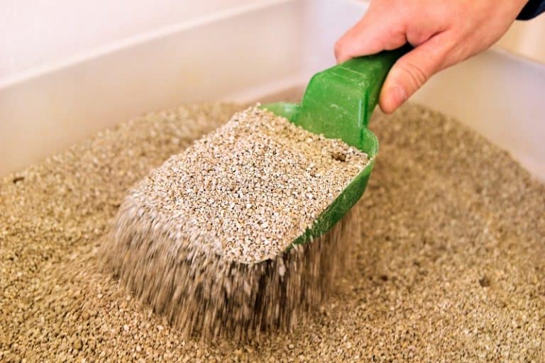 Cat Litter That Doesn’t Stick To Paws