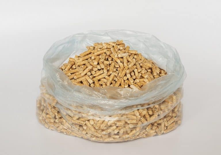 Can You Flush Cat Litter?