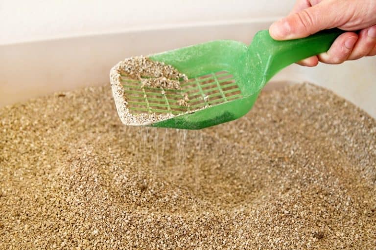 How to Keep Litter From Sticking to the Box?