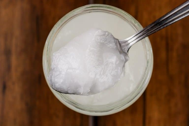 How to apply coconut oil to cat s skin 
